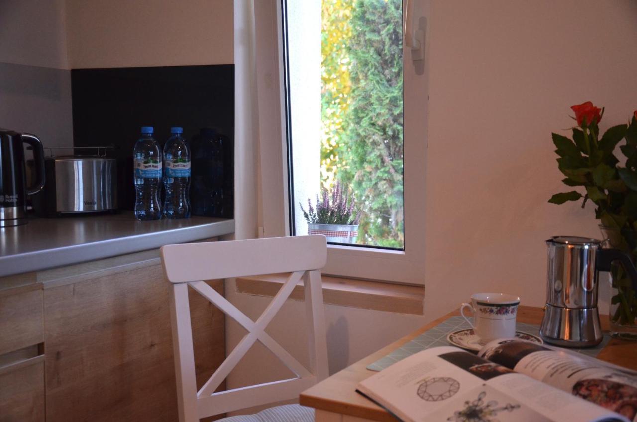 Apartamenty Turystyczne Willkassen Giżycko Exterior foto